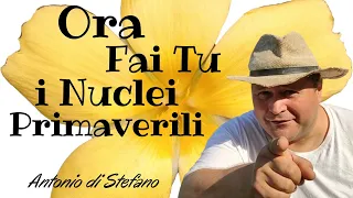 Nuclei ora li Facciamo! Apicultura semplice fare e gestire in sequenza la covata Miele Cera Telaini