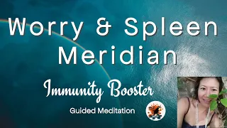 Spleen Meridian Energy for Immunity - Transmute Worry & Insecurity