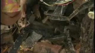 Oklahoma tornado: dog found in the rubble