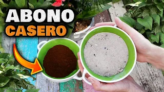 ABONO CASERO MÁGICO! Con SOLO 2 Ingredientes Más FLORACIÓN y Muchos FRUTOS | Fertilizante Casero