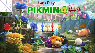 Let's Play Pikmin 4; Episode 49
