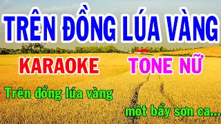 Karaoke Trên Đồng Lúa Vàng( Tình Ca Trên Lúa) Tone Nữ Nhạc Sống gia huy karaoke