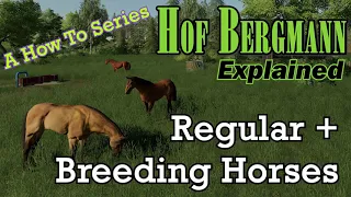 FS19 Hof Bergmann Explained 🐴 Horses Regular + Breeding 🐴 A How To Series