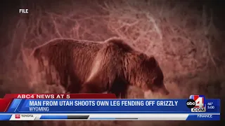 Utah Man Shoots His Own Leg to Fend Off Grizzly Bear