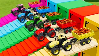 LOAD AND TRANSPORT PEACHES WITH LAMBORGHINI TRACTORS -   Farming Simulator 22