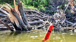 BOBBER FISHING Next to Fallen Trees! (Wade Fishing)