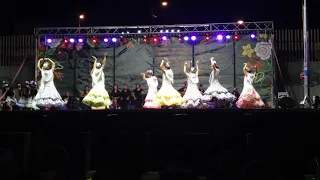 Grupo Municipal De Coros y Danzas de Baza en el  34 Festival Internacional de Folklore de Baza