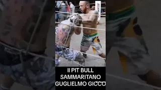 Guglielmo Gicco il pt bull sammaritano.