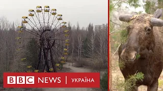 Чорнобиль, що зникає. Панорами Зони відчуження