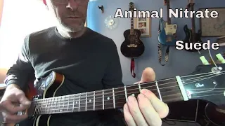 Animal Nitrate - Suede - lesson