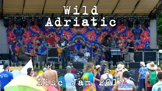 Wild Adriatic: 2017-06-10 - Disc Jam Music Festival; Stephentown, NY [4K]