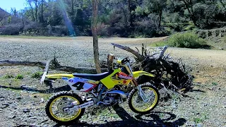 2006 Suzuki RM 250 Ricky Carmichael Edition First Ride @Norcal2stroke