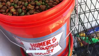 DIY self-filling dog food feeder and automatic watering sys