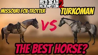 RDR 2 Turkoman VS Missouri Fox Trotter !  Battle Of The Best Horse!