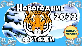 Новый 2022 год тигра идет. Тигр идет, танцует. Футаж тигра для видеомонтажа. Новогодние футажи 2022.