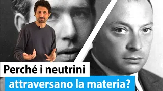 Il neutrino e le 4 forze fondamentali #Shorts