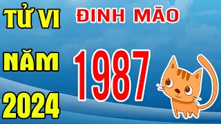 Tử Vi Tuổi Đinh Mão 1987 Năm 2024 Giáp Thìn