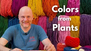 How a Couple Creates Colors from Plants and Make a Living