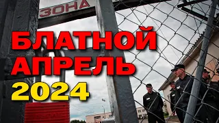 Блатной апрель 2024 - Бодрые хиты шансона #русскийшансон  #блатныепесни #блатнойапрель