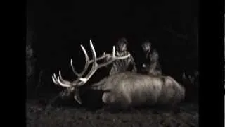 Exciting Muzzleloader Elk Hunt in Utah - MossBack