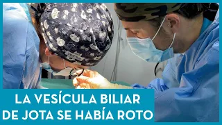 ¡Cirugía de urgencia por vesícula biliar reventada! ⚠️ - HOSPITAL VETERINARIO PRIVET