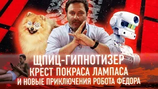 Шпиц-гипнотизер, крест Покраса Лампаса и новые приключения робота Федора // Минаев