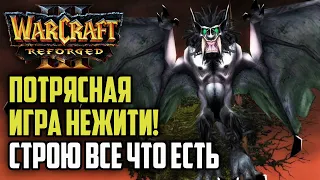 ПОТРЯСНАЯ ИГРА НЕЖИТИ! СТРОИТ ВСЕ ЧТО ЕСТЬ: Krav (Ud) vs Dise (Ne) Warcraft 3 Reforged