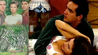 Laberintos de Pasión - C-61: Cristóbal no puede olvidar a Nadia | Tlnovelas