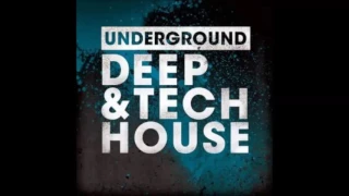 VipTech - Techouse Musik Podcast Nov16