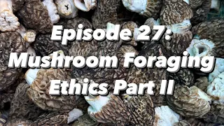 Fascinated By Fungi Podcast Episode 27: Mushroom Foraging Ethics Part II