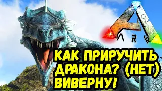 Арк - украсть яйцо виверны | ark survival evolved #shorts