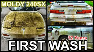 Disaster Barnyard Find | Extremely Moldy 240SX | First Wash In 12 Years | Car Detailing Restoration!