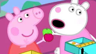 Peppa Pig y amigos van de viaje escolar! ✏️ | Peppa Pig en Español