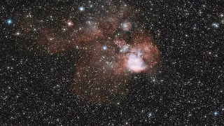 Zooming In on Vivid Active Star-Forming Region NGC 246