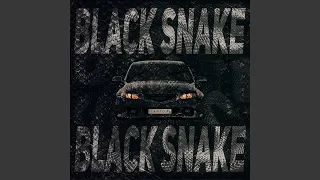 Black Snake