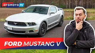Ford Mustang V - Amerykańskie E46? | Test OTOMOTO TV