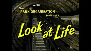 Look at Life - Under Your Feet