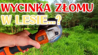 WYCINKA ZŁOMU W LESIE