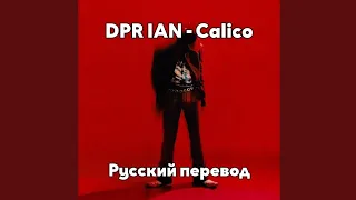 [RUS SUB/Перевод] DPR IAN - Calico