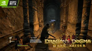 Dragon's Dogma: Dark Arisen / RTX 3080 4K / PC Steam