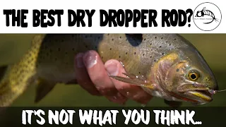 Fly Fishing: The Best Dry Dropper Rod?