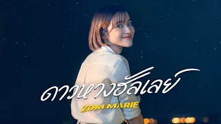 ดาวหางฮัลเลย์ (Halley's Comet) - fellow fellow | ส้ม มารี (Zom Marie) [COVER]