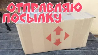 Как упаковать растение для пересылки