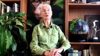 Dr. Goodall's Message for the Global March for Elephants and Rhinos