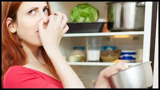 Как убрать запах протухшего мяса из холодильника