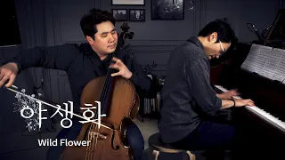 눈물이 납니다.. 야생화 첼로 라이브🎵 박효신