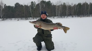 Зимняя рыбалка на Днепре, жерлицы мормышка и + бонус Monster Paike на 7.500 кг.