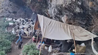 Himalayan Sheep Shepherd Life in Winter |Shepherd Food Cooking |Sheep Shepherd Shifting Another Area