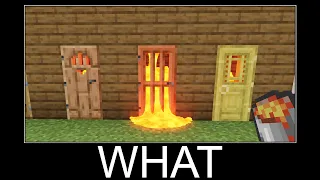 Minecraft realistic wait what meme, Lava, Water, Slime #472