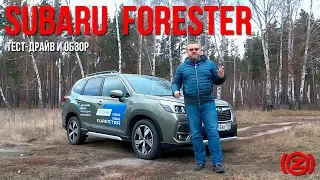 Subaru Forester 2019. Тест-драйв и обзор "Субару Форестер" пятого поколения